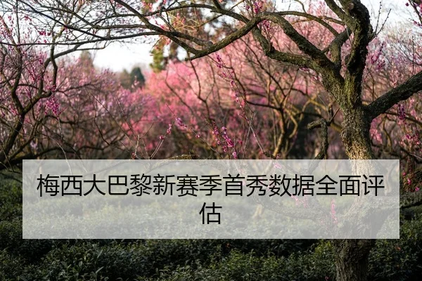 梅西大巴黎新赛季首秀数据全面评估
